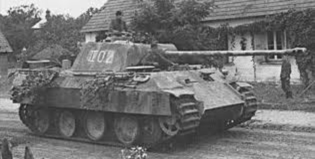 Notorious German Panther