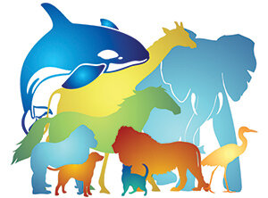 Animal Welfare Act is Passed