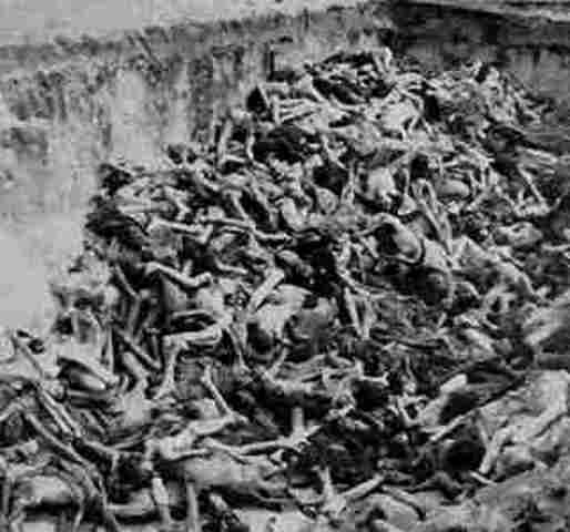 "Final solution" by germany: Hollocaust