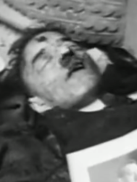 The Death of Adolf Hitler