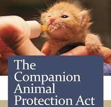 The Companion Animals Act is Passed