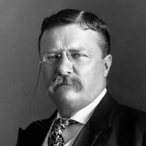 Theodore Roosevelt becomes President (1901-1909)