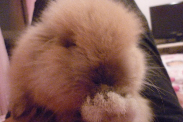 Pituco/ mariana ramos