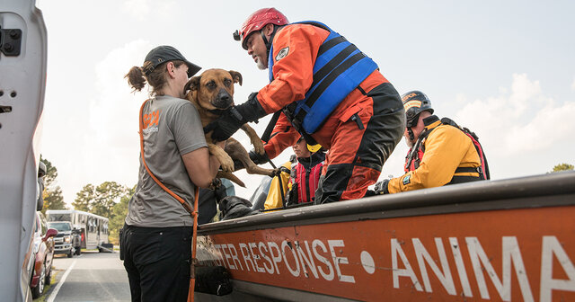 The Pets Evacuation & Transportation Standards Act