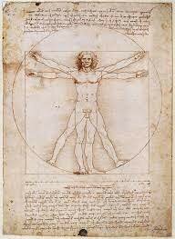 Leonardo Da Vinci implemented the “Divine Proportion” in his artwork, namely the Vitruvian Man and the Last Supper, and exploration of its relationship to the human body and common societal beauty standards.