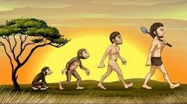 Timeline: Evolución Humana
