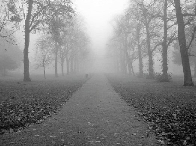 Edgar Allen Poe's father abandons his family!