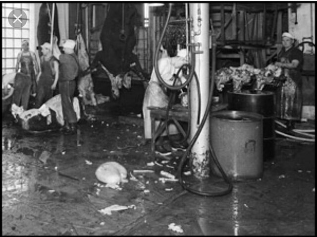 The Jungle is written