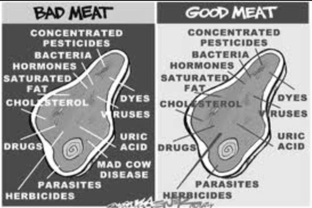 Meat Inspection Act of 1906 Passed