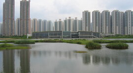 Timeline: tin shui wai