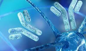 Georges Köhler y César Milstein. Anticuerpos monoclonales.