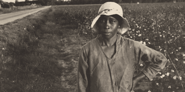 The Southern Lifestyle