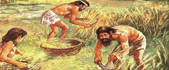 con la aparición de la agricultura, las bandas comenzaron a evolucionar hacia un modelo diferente: la tribu