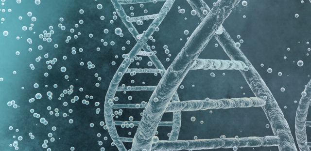 Kary Mullis inventa la reacción en cadena de la polimerasa o "PCR"