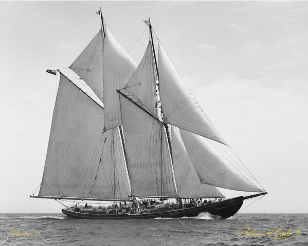 Bluenose