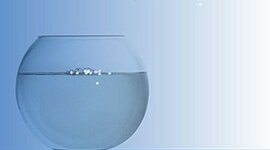 Timeline: Out of My Mind