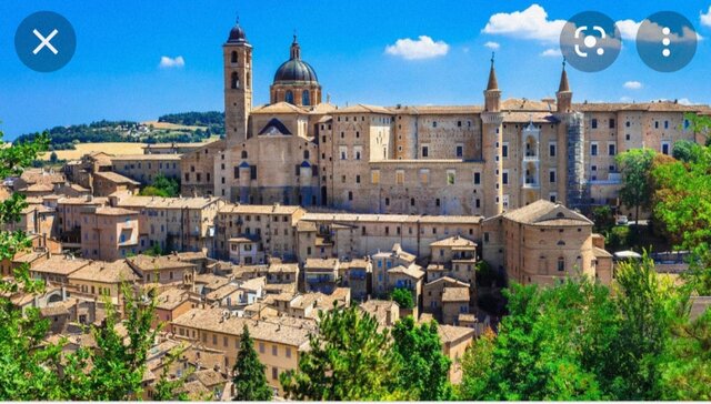 Nasce a Urbino nel 1483