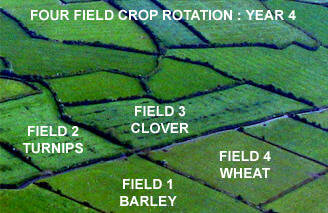 Discovery of Crop Rotation