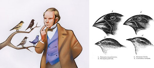 La teoria de los pinzones de Charles