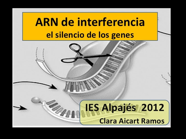 ARN de interferencia