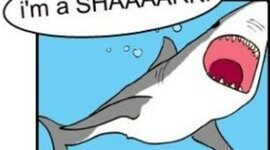 Timeline: The Flying Sharks