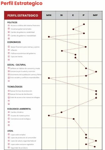 Perfil Estratégico