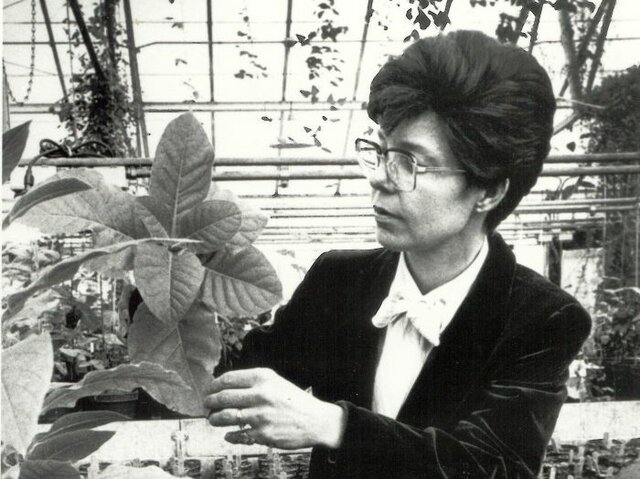 Mary Dell-Chilton. Planta genéticamente modificada.