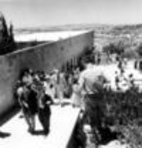 Partner in the Middle East