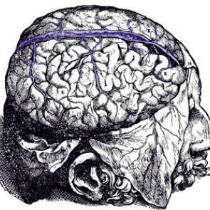 2-Herófilo (300 a.C