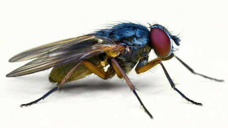 La iglesia católica inició profundas reformas en la institución, conocidas como la Contrarreforma católica.