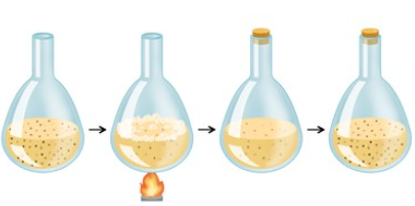 Needham’s rebuttal