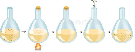 Criticism from spallanzani