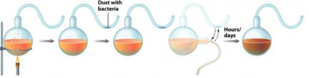 Pasteur puts spontaneous generation to rest