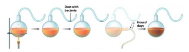 Pasteur puts spontaneous generation to rest
