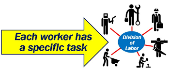 Divisions of Labor