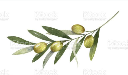 Second Continental Congress meets