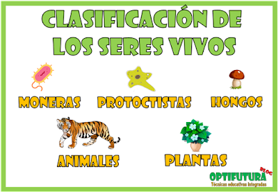 Clasificación de los seres vivos