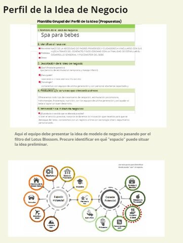 PERFIL DE LA IDEA DE NEGOCIO