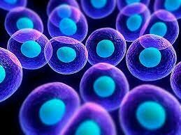 Journal of Molecular Biology de la mano del sudafricano Sydney Brenner