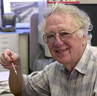 Electroforesis en gel de almidón