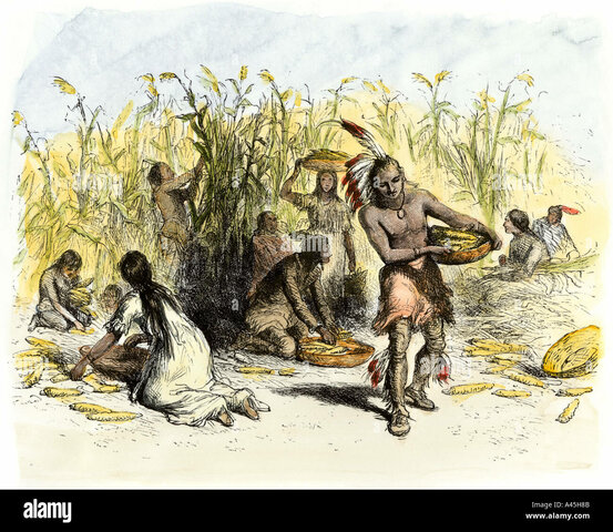 Farming Began in North America