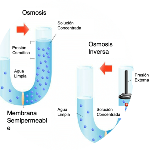 Técnica de riego por osmosis inversa