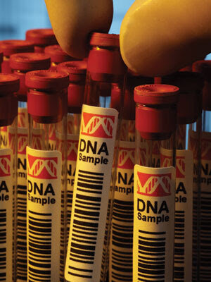 Primer terapia génica