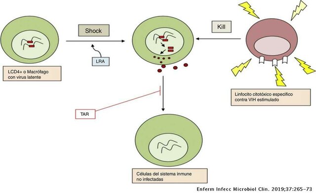 Inhibidores naturales