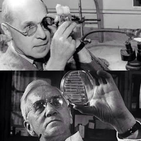 Hermann Muller, Sir Alex Fleming