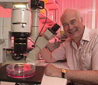 Estado embrionario de las células madres