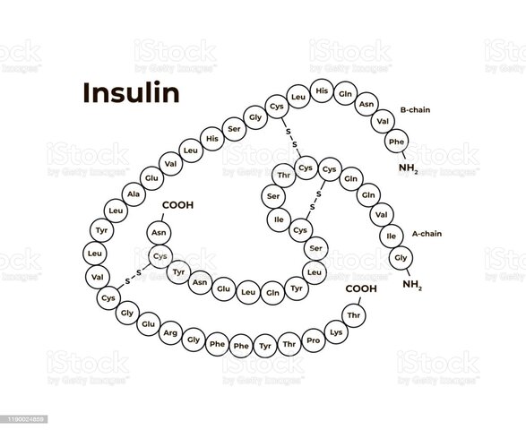 Descubrimiento: estructura química insulina