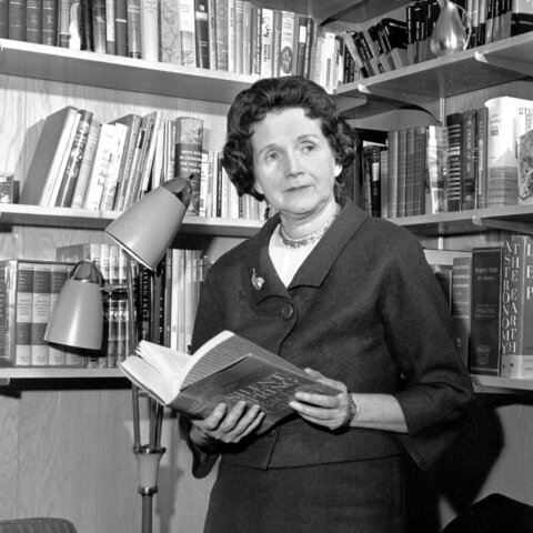 Publicación del libro "Primavera silenciosa"