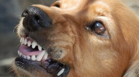 Timeline: La filosofia occidentale per concetti