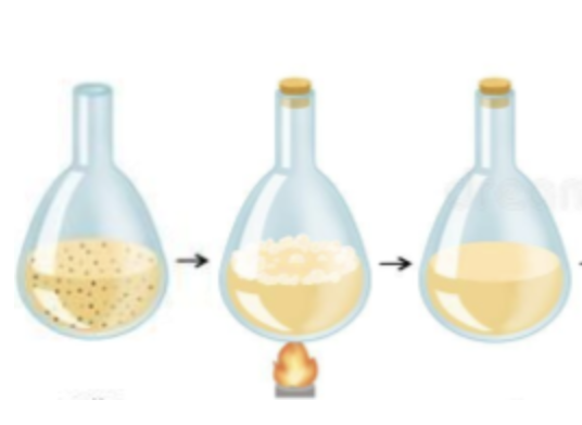 Lazzaro Spallazani's experiment